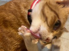 -逃脱反斗城沉浸剧情密室(北京路店)