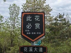 -老君堂公园