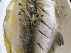 -品鲜村农家菜·阳澄湖大闸蟹(总店)