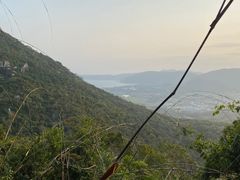 -三亚亚龙湾人间天堂鸟巢度假村