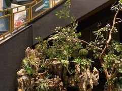 -老傅家湘潭水煮活鱼店(众一国际店)