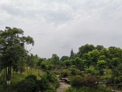 -铁山坪森林公园