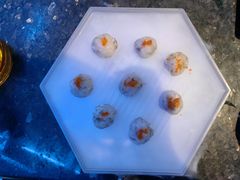 -王家渡火锅店(棕榈泉店)