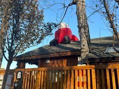 -禧宴Joyous Restaurant(禧园店)