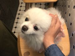 -AllorNothing横竖横咖啡(天虹店)