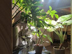 -棕榈岛海鲜自助餐厅(虹桥迎宾馆店)