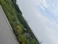 -青龙山国家森林公园