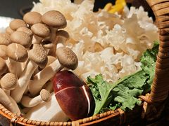 云南山菌拼盘-锦荟JINHUI·浙江小馆(上海荟聚店)