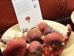 -滇野云南野生菌餐厅