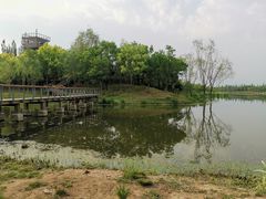 -东郊湿地公园