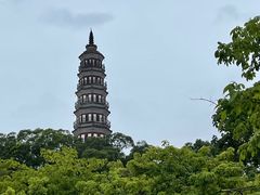 -顺峰山公园