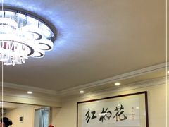 -新疆红柳花餐厅(新洲店)