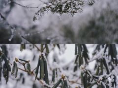 -瓦屋山景区
