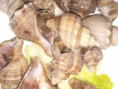 -旺角小渔村(幸福中路店)