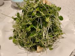 香椿苗拌桃仁-玉林烤鸭店(小西天店)