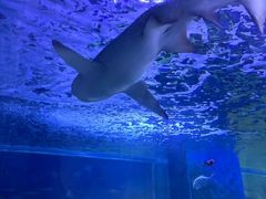 -常州海昌海洋探索馆