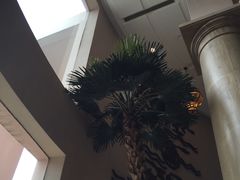 -圣爵菲斯大酒店(长沙世界之窗店)