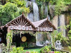 -西双版纳原始森林公园