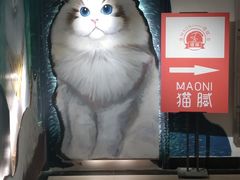 -猫腻·猫咖·撸猫馆(星光大道店)