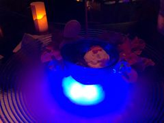-地球美食剧场