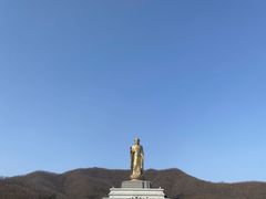 -中原大佛景区