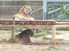 -昆明动物园