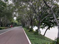 -南宁南湖公园