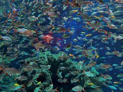 -成都浩海立方海洋公园