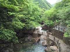 -湖州龙王山景区