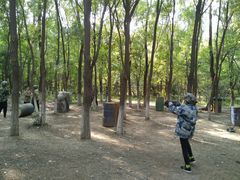 -亲兄弟真人CS团建拓展基地