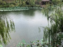 -上海怡沁园度假酒店