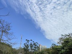 -广东金融学院(校本部)