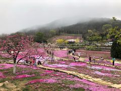 -棒棰岛宾馆景区