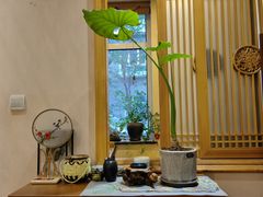 -畅和茶坊·曦瓜中国大红袍