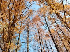 -浙江大学(紫金港校区)