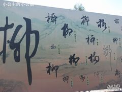 柳-柳沟豆腐宴义豆堂24号农家院