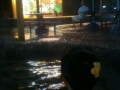 -金孔雀温泉旅游度假村