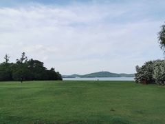 -贡湖湾湿地公园