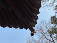 -西安博物院