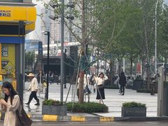 -Y60-SKYLINE天际江景酒店(五一广场店)
