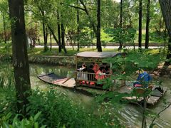 -上海长兴岛郊野公园