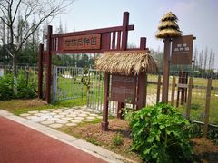 -上海长兴岛郊野公园