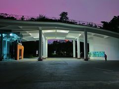 -福田红树林生态公园