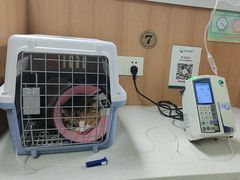 -联合动物医院(光谷诊疗中心)