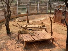 -昆明动物园