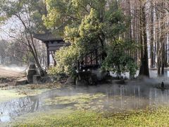 -东湖落雁景区