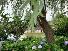 -漩门湾国家湿地公园