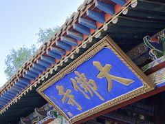 -张掖大佛寺景区