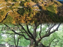 -宁波市保国寺古建筑博物馆