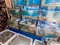 水产区-老东镇啤酒屋海鲜加工·蒸汽海鲜·海鲜烧烤(台东店)